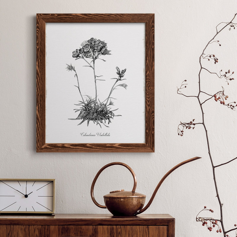 Simply Caladrinia - Toile encadrée de qualité supérieure - prête à être accrochée, H 37,5 po x l 27,5 po x P 1,5 po, Érable