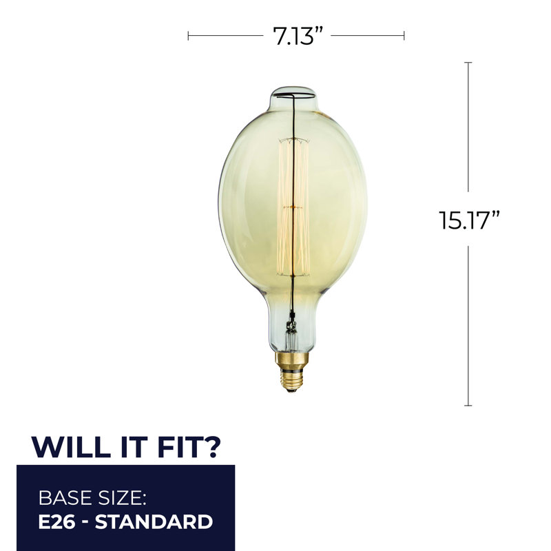 Ampoule incandescente à culot moyen E26 60W Guarino