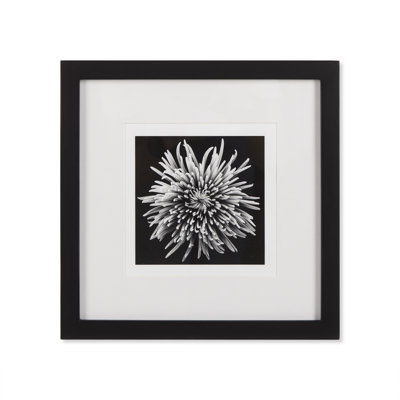Black Blossom - D Print