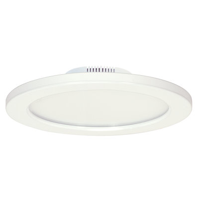 Rudnick LED Flush Mount