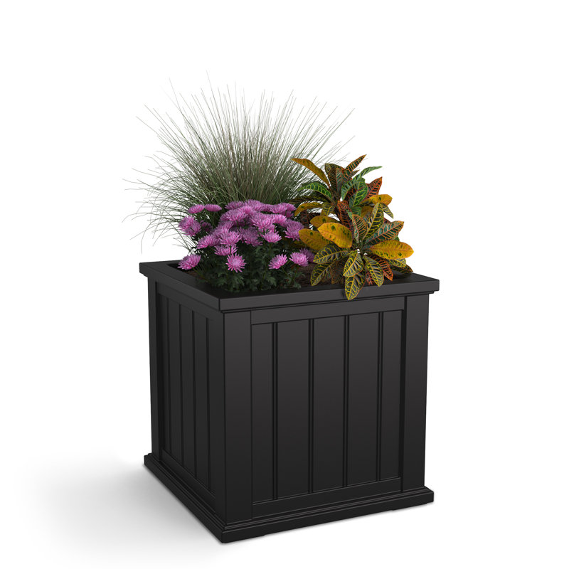Selevae Resin Planter Box with Water Reservoir, 20" H x 20" W x 20" D, Black