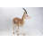Gazelle Statue