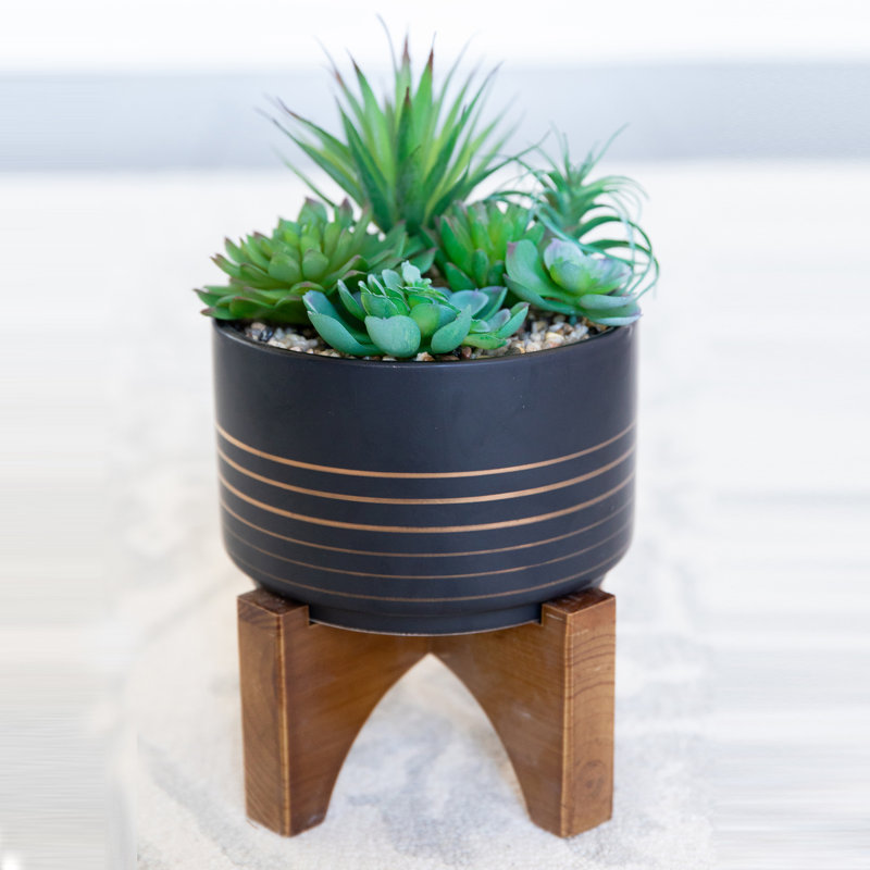 Pot de fleurs en céramique Fonthill, Noir, H 5,75 po x l 4,75 po x P 4,75 po