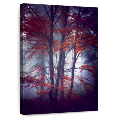 Harnek Misty Autumn Forest