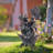 27.76"H Resin LED Fountain With Angel Statue