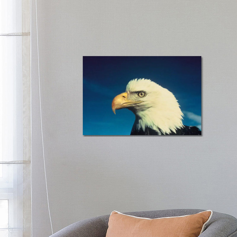 Bald Eagle by Unknown Artist - Wrapped Canvas Print, 66.04 cm H x 45.72 cm W x 3.175 cm D