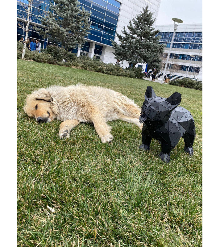 Statue de bouledogue français - L