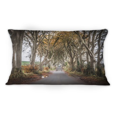 Avenue of Tall Trees In Ireland - Coussin décoratif imprimé maison de campagne
