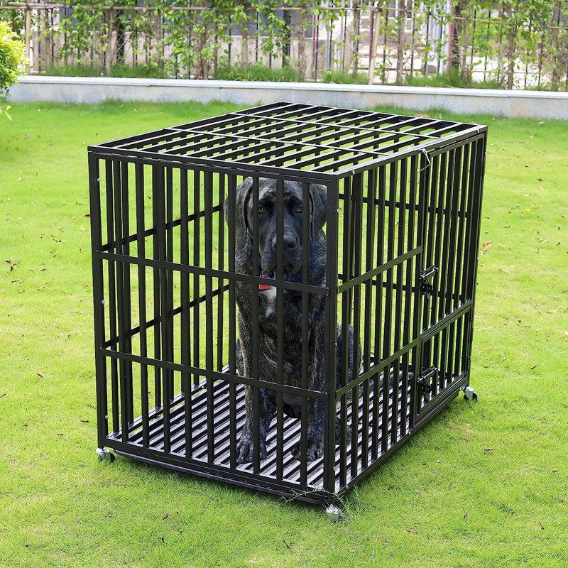 Metal Caster For Pet Crate, 35" H x 42" W x 30.5" D