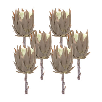 Protea Sprays