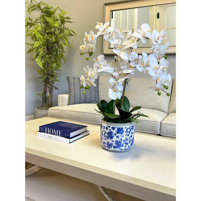 Phalaenopsis Floral Arrangement