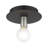 Alcalde Flush Mount-1852776227
