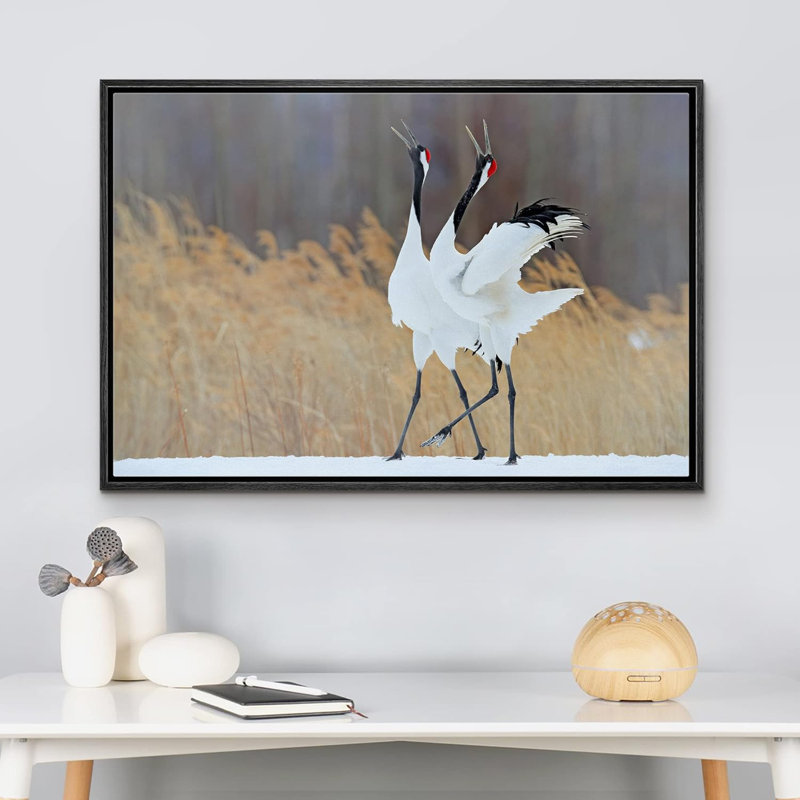 Crane héron, oiseau, hiver, campagne, couronne rouge, oiseau, photographie, encadrée, Structure noire