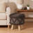 Modern Style Ottoman