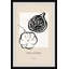 The Figtree - Single Picture Frame Painting-90015246