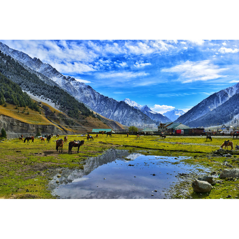 Pahalgao Valley Kashmir - Wrapped Canvas Print, 81cm H x 122cm W