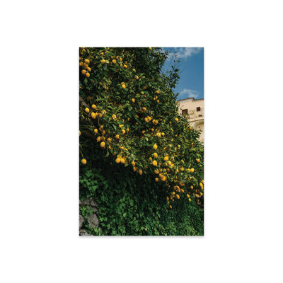 «Amalfi Coast Lemons II», reproduction sur verre acrylique