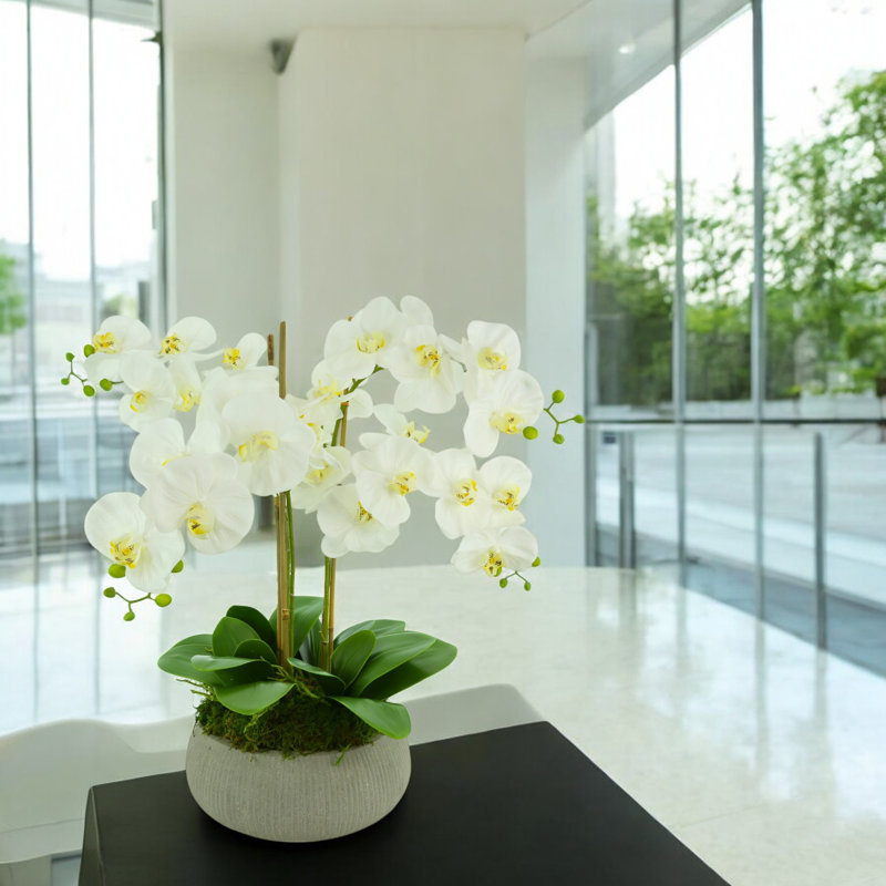 Orchid Arrangement in a Round Fiberstone Planter