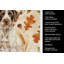 Serviette de cuisine tricolore Sheltie-2083471993