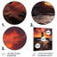 Phare sur le rocher essaim rouge océan coucher de soleil - art mural phares-1311682098-1311682099