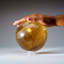 Genuine Polished Smoky Quartz Sphere (5", 9.5 Lbs)