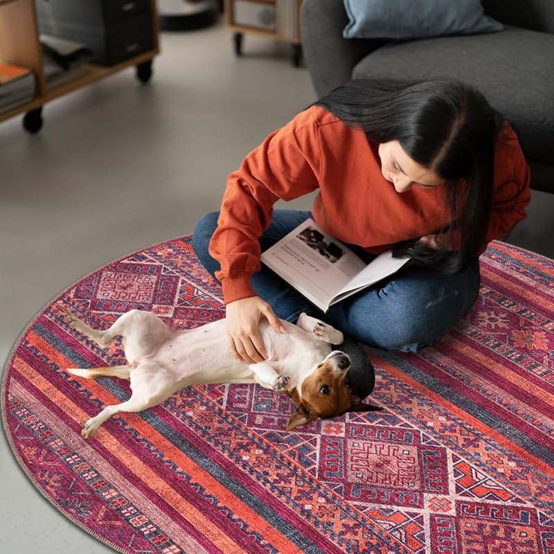 Throw Area Rugs Soft Indoor Carpet Pads For Living Room Non-Slip Mat Fade Resistant Floor Rug 1322R, Rectangle 160 x 230 cm