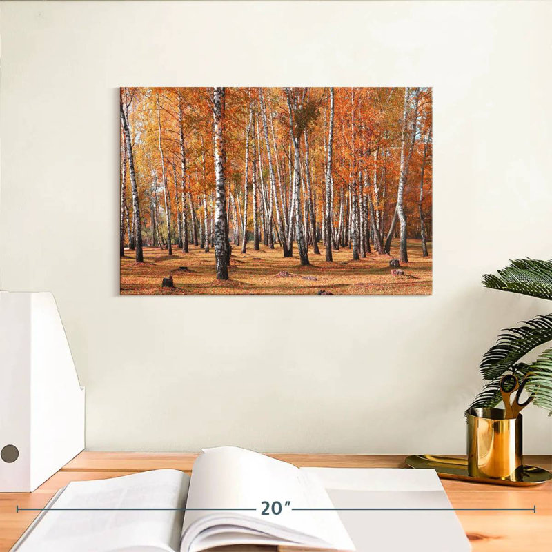 Alvord Birch Tree Forest In Fall, 8" H x 12" W