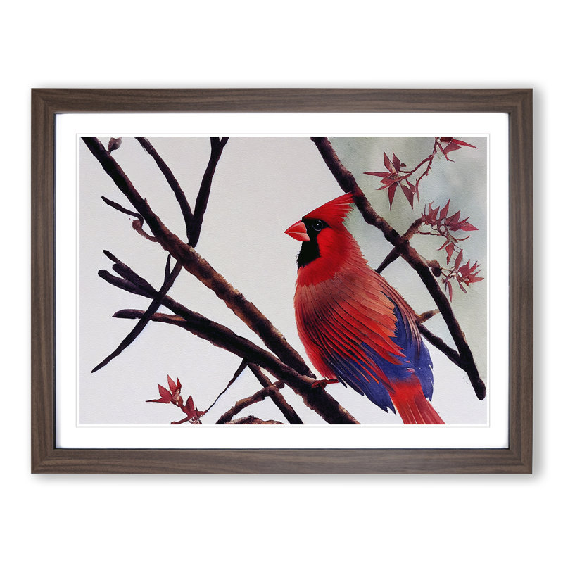 Watercolour Cardinal Bird Vol.4 - Framed Print, Walnut Framed, 25cm H x 34cm W x 2cm D
