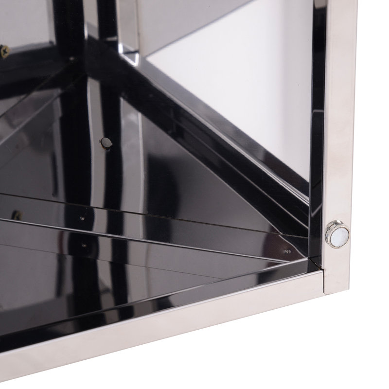 Isay 300mm W 600mm H Surface Framed Medicine Cabinet Mirror 2 Fixed