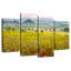 Champ de fleurs toscan Alvord-108847734