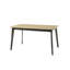 Fidelia Extendable Dining Table
