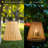 7'' Hardwired Outdoor Hanging Light