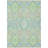 Machine Washable Indoor/Outdoor Chayden ACN1002 Mint-99099501