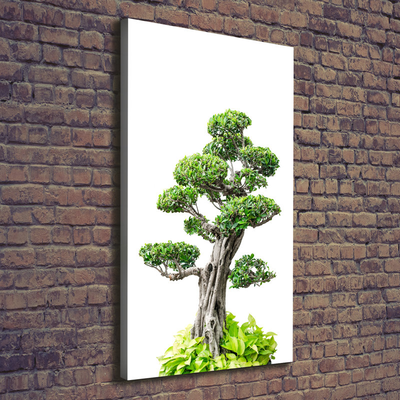 Bonsai Tree - Wrapped Canvas Print
