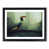 Black Framed
