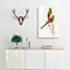 Beautiful Parakeets by Elizabeth Gould - Wrapped Canvas-55363661