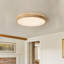 Damiyon 1-Light LED Flush Mount-295102890