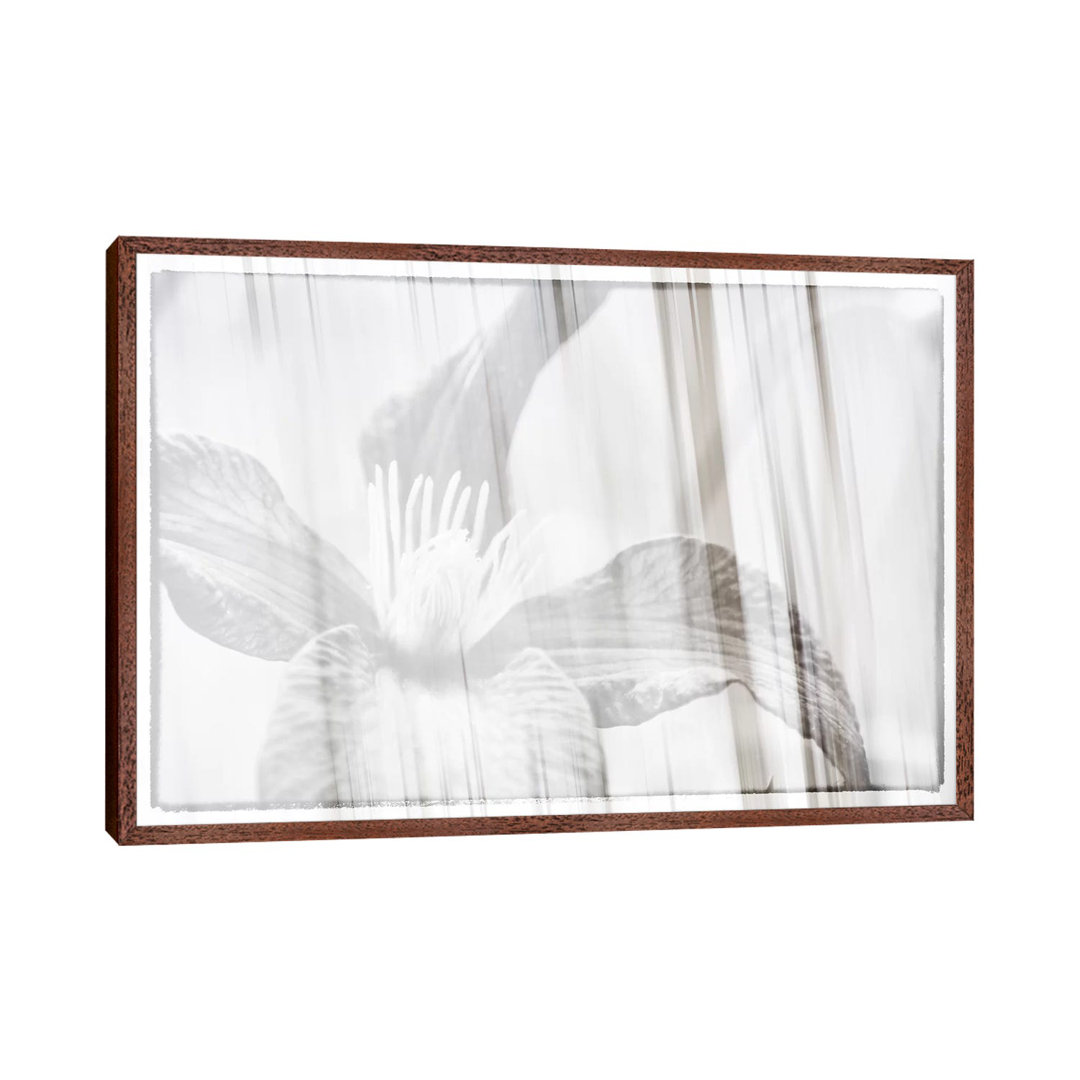 Black And White Clematis von Savanah Plank - Galerie-verpackte Leinwand Giclée auf Leinwand