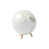 White/Green est en rupture de stock
