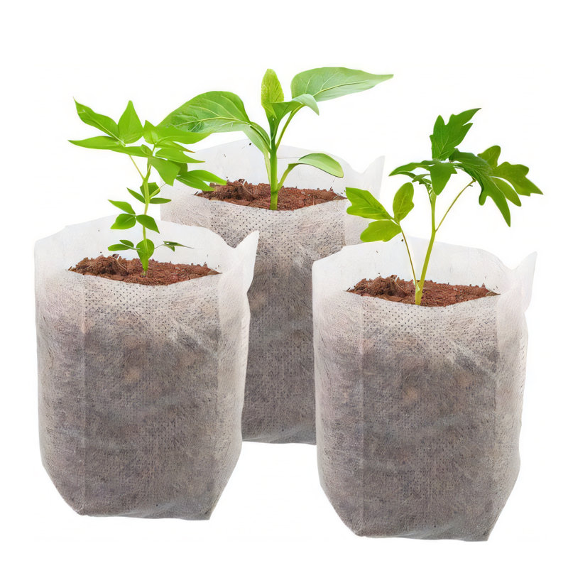 Oniesha Nursery Pot