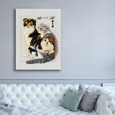 «Scottish Fold» par Barbara Keith sur