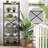 Esrom 25.12'' Metal Standard Baker's Rack