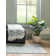 Edson Oriental Indoor Rug