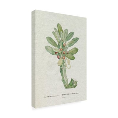 "Redoute Succulent VI" sur toile