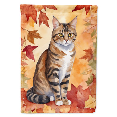 Chat en feuilles d'automne