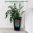22.5" Tall  Set of 2. Outdoor＆Indoor Black  Pots. High Front Porch  Pots with Drainage Holes＆Water Level ＆Inner