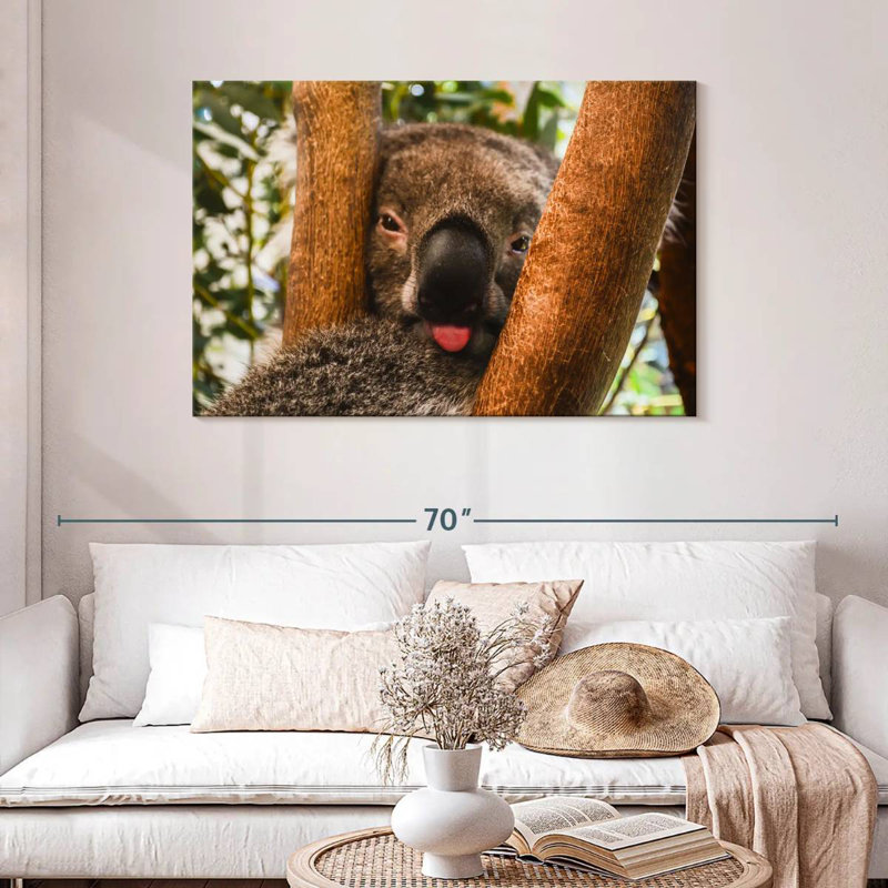 Roux drôle Koala