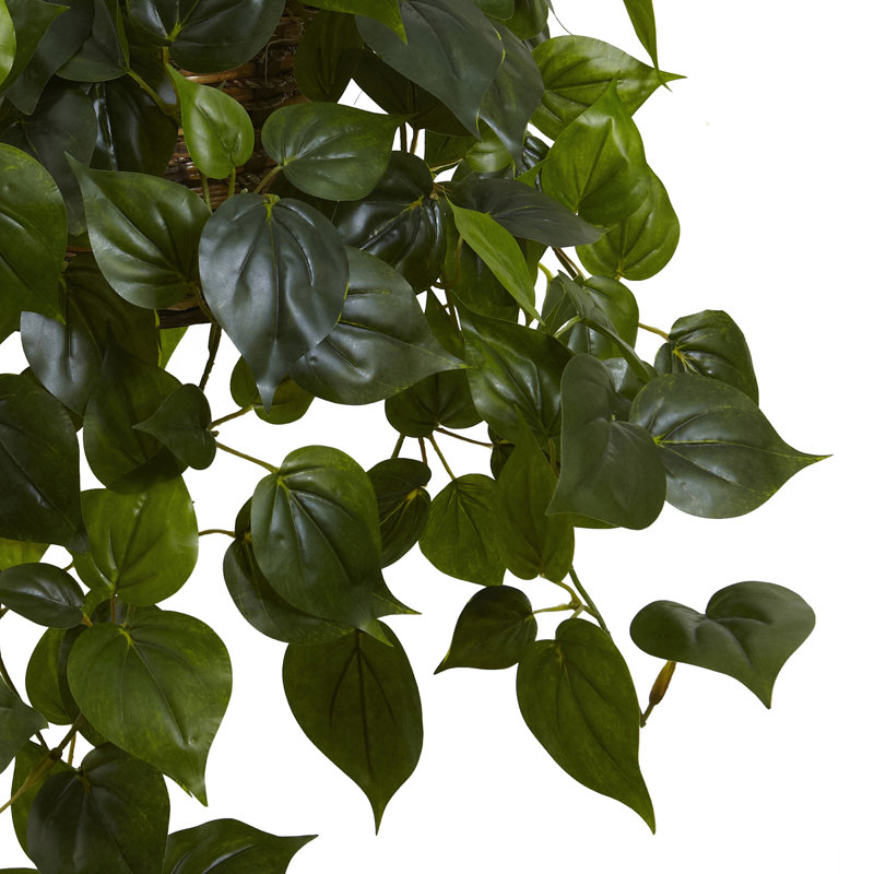 Outdoor UV Resistant Philodendron Hanging Basket