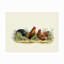 Toile d'extérieur Ashawn The Macneil Studio «Cockerel and Hen»-87945898