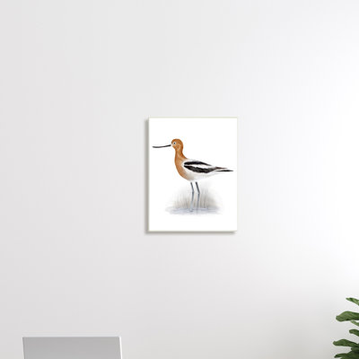 Avocat orange, marais des oiseaux des marais, rayures noires - peinture